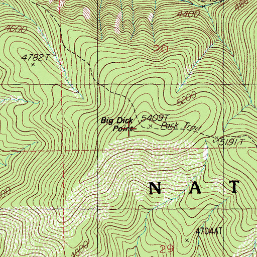 Topographic Map of Big Dick Point, ID