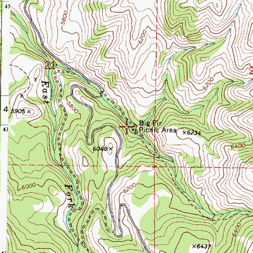 Topographic Map of Big Fir Picnic Area, ID