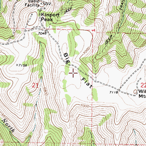Topographic Map of Big Flat, ID