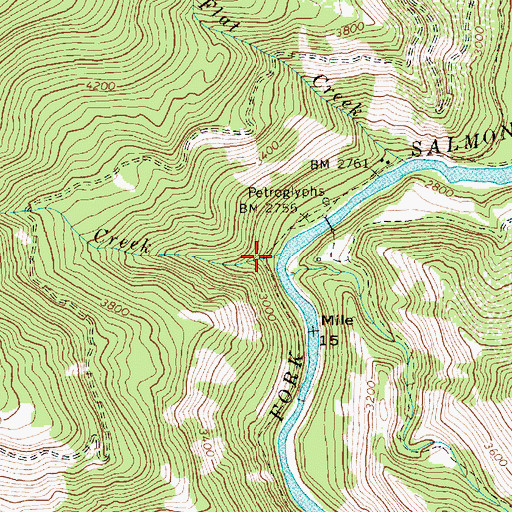 Topographic Map of Big Flat Creek, ID