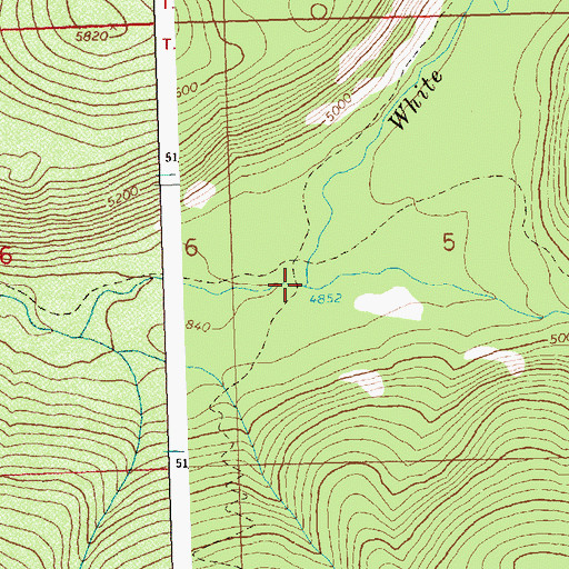 Topographic Map of Big Flat Creek, ID