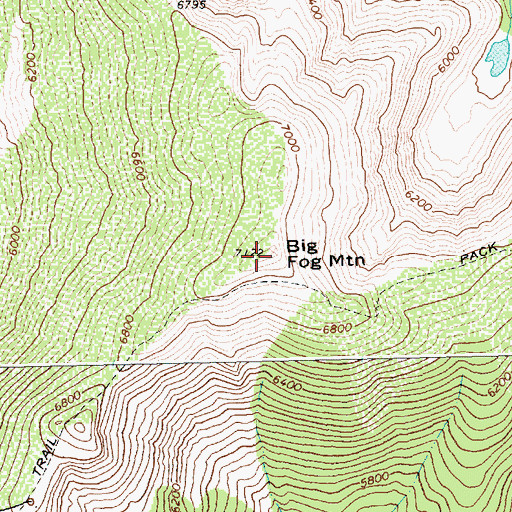 Topographic Map of Big Fog Mountain, ID