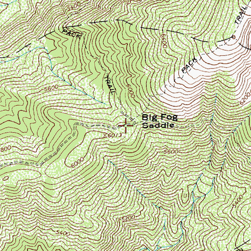 Topographic Map of Big Fog Saddle, ID