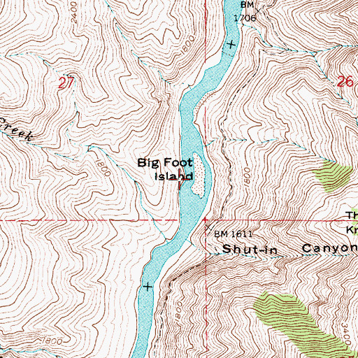Topographic Map of Big Foot Island, ID