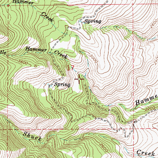 Topographic Map of Big Hammer Creek, ID