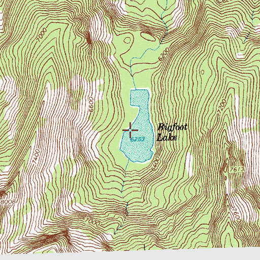 Topographic Map of Bigfoot Lake, ID