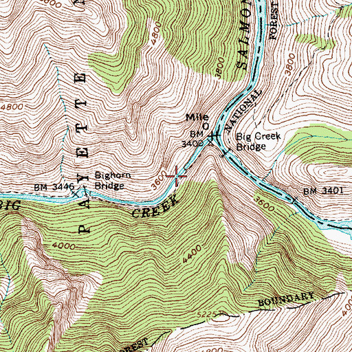 Topographic Map of Bighorn Bridge, ID