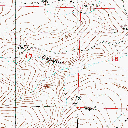 Topographic Map of Bighorn Canyon, ID