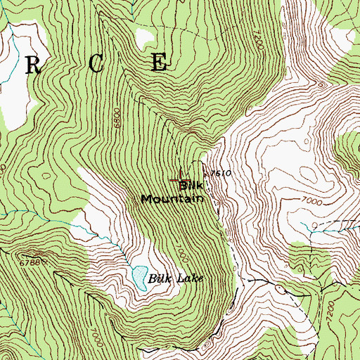 Topographic Map of Bilk Mountain, ID
