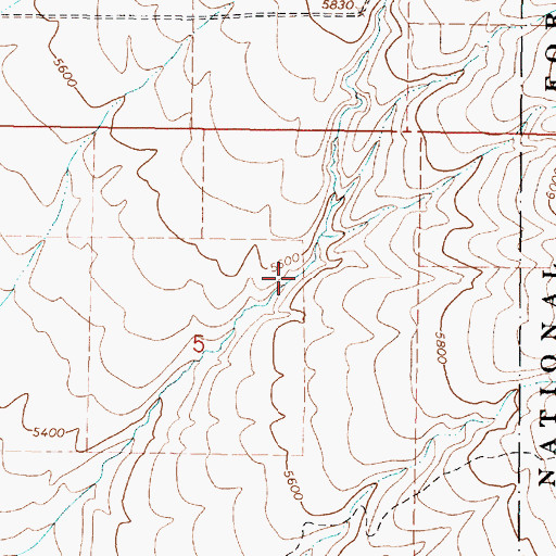 Topographic Map of Bill Morgan Canyon, ID