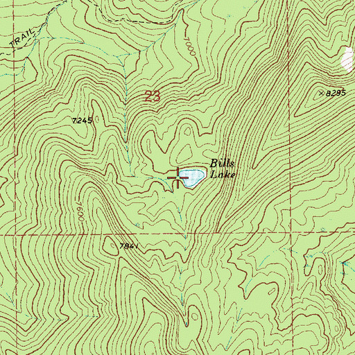 Topographic Map of Bills Lake, ID