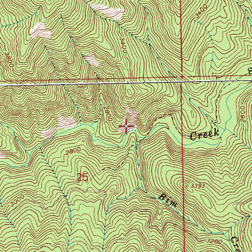Topographic Map of Bim Creek, ID