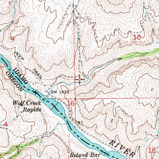 Topographic Map of Birch Creek, ID