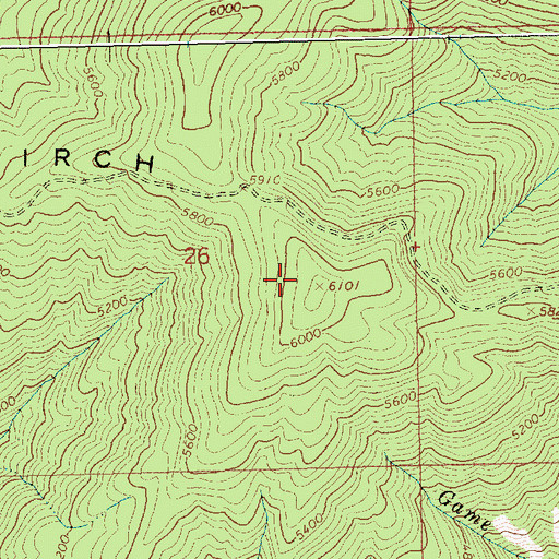 Topographic Map of Birch Ridge, ID