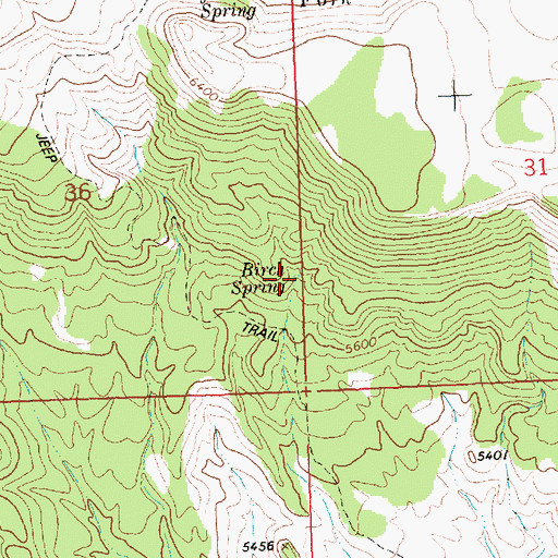 Topographic Map of Birch Spring, ID