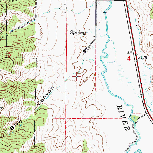 Topographic Map of Bird Canyon, ID