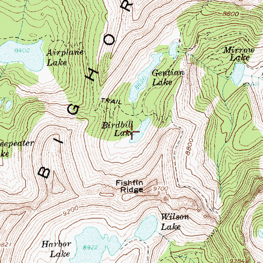 Topographic Map of Birdbill Lake, ID