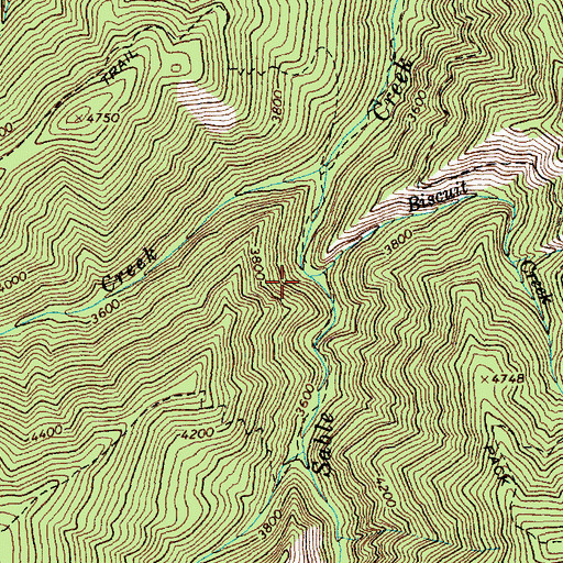 Topographic Map of Biscuit Creek, ID