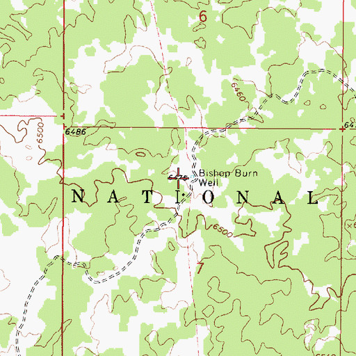 Topographic Map of Bishop Burn Well, ID