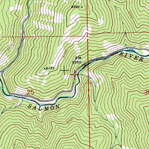 Topographic Map of Bishop Creek, ID