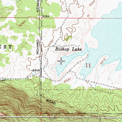 Topographic Map of Bishop Lake, ID