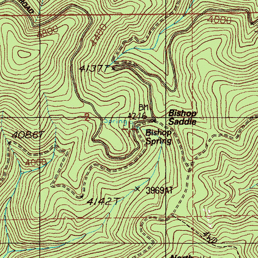 Topographic Map of Bishop Spring, ID