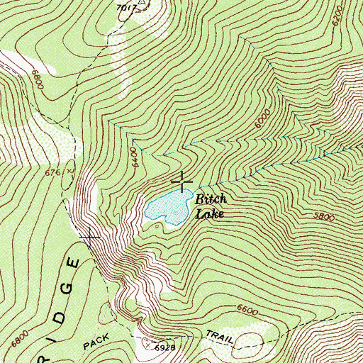 Topographic Map of Bitch Creek, ID