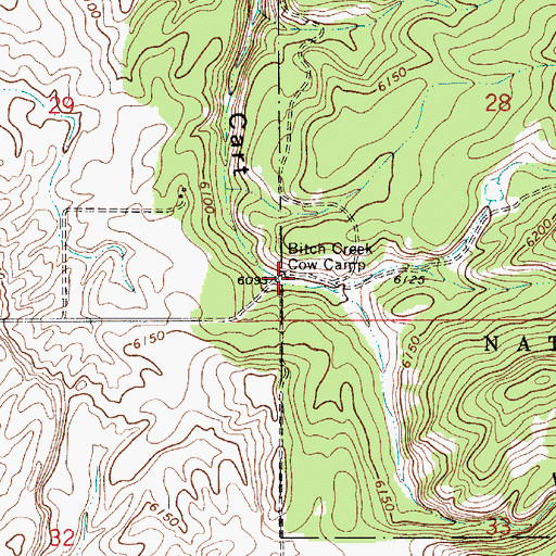 Topographic Map of Bitch Creek Cow Camp, ID