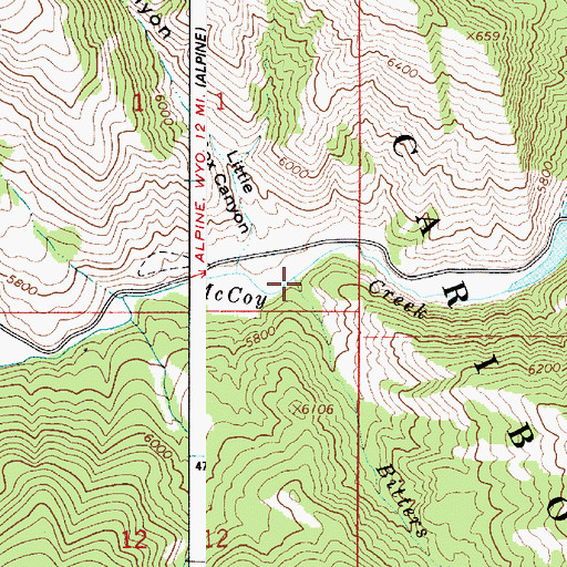 Topographic Map of Bitters Creek, ID
