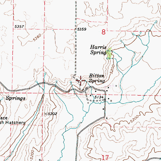 Topographic Map of Bitton Spring, ID