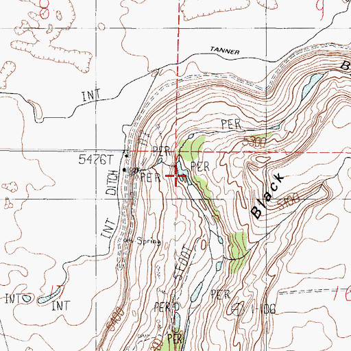 Topographic Map of Black Canyon, ID