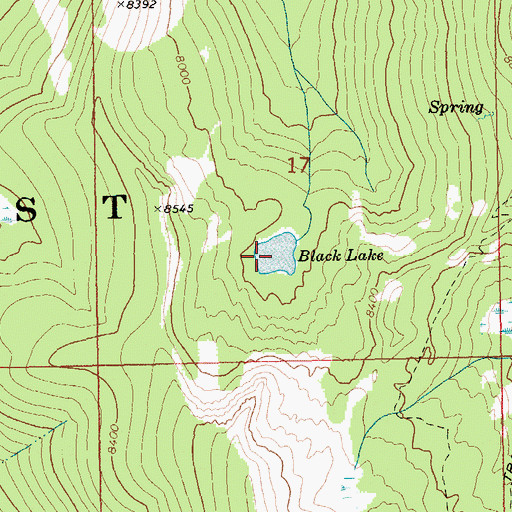 Topographic Map of Black Lake, ID
