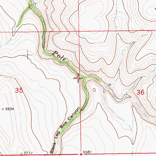 Topographic Map of Black Leg Creek, ID