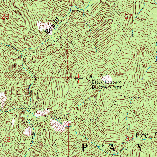 Topographic Map of Black Leopard Discovery Mine, ID
