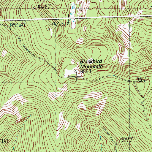 Topographic Map of Blackbird Mountain, ID