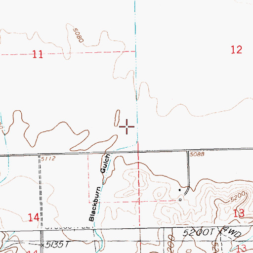 Topographic Map of Blackburn Gulch, ID