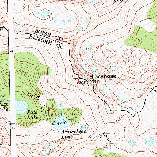 Topographic Map of Blacknose Mountain, ID