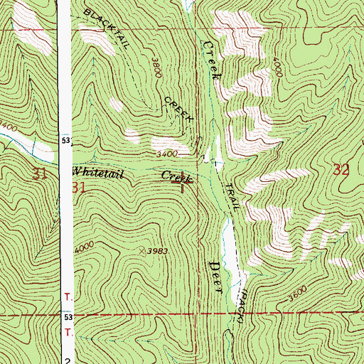 Topographic Map of Blacktail Creek, ID