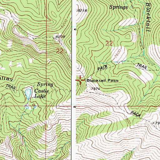 Topographic Map of Blacktail Pass, ID