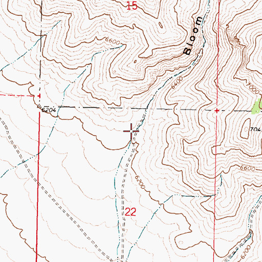 Topographic Map of Bloom Canyon, ID