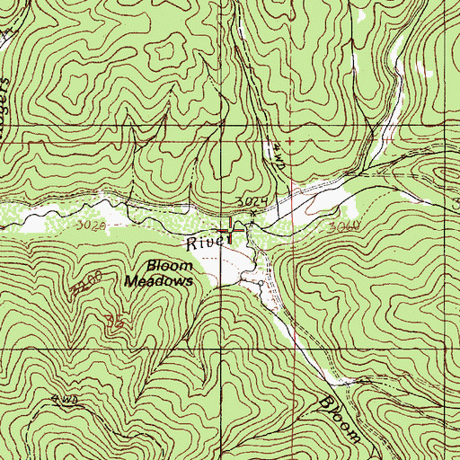 Topographic Map of Bloom Creek, ID