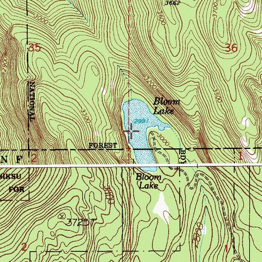 Topographic Map of Bloom Lake, ID