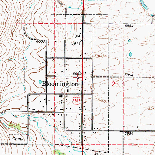 Topographic Map of Bloomington, ID