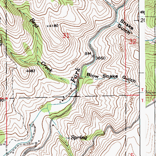 Topographic Map of Blow Snake Gulch, ID