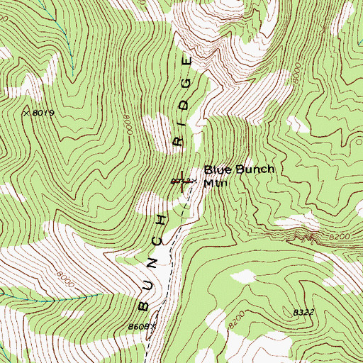 Topographic Map of Blue Bunch Mountain, ID