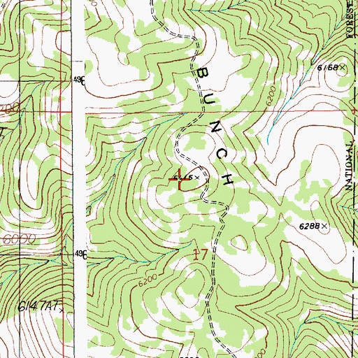 Topographic Map of Blue Bunch Ridge, ID
