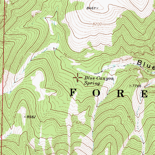 Topographic Map of Blue Canyon Spring, ID