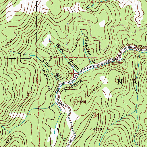Topographic Map of Blue Gulch, ID
