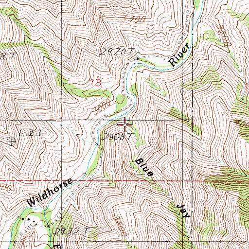Topographic Map of Blue Jay Gulch, ID