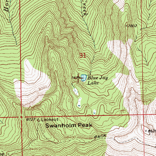 Topographic Map of Blue Jay Lake, ID